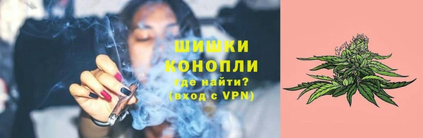 марки lsd Белокуриха