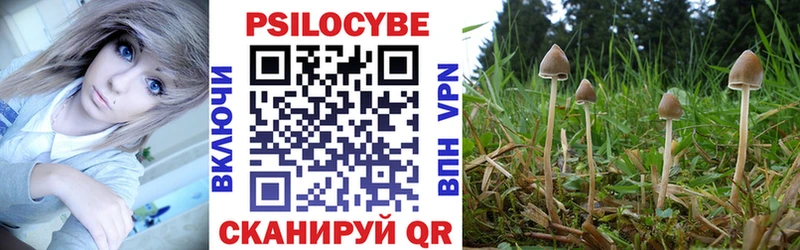 Псилоцибиновые грибы Cubensis  Нефтекумск 