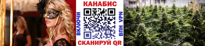 Шишки марихуана OG Kush  darknet официальный сайт  Нефтекумск 